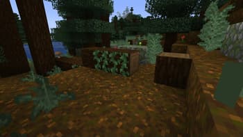 Aurora's Decorations screenshot