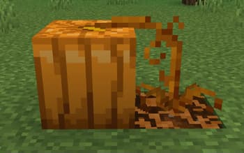 Os' Crops screenshot