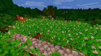 Vibrant Vanilla screenshot