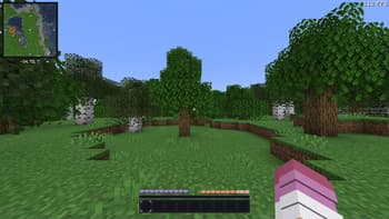 viola screenshot