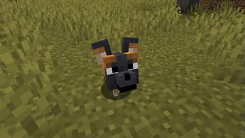 Fresh Animations Patch - Boy Why You So Ears screenshot