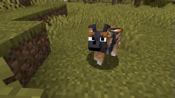 Fresh Animations Patch - Boy Why You So Ears screenshot
