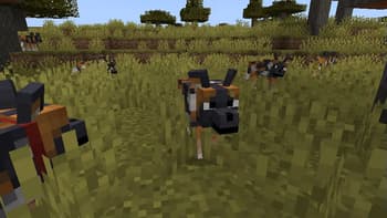 Fresh Animations Patch - Boy Why You So Ears screenshot