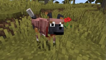 Fresh Animations Patch - Boy Why You So Ears screenshot