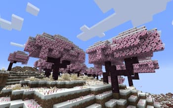 Default-Style Christmas Pack screenshot