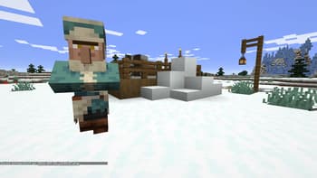 NPC Variety screenshot