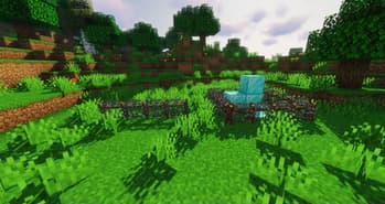 Macaw's Fences and Walls screenshot