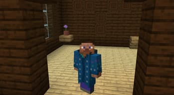 Illager Revolution screenshot