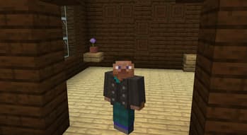 Illager Revolution screenshot