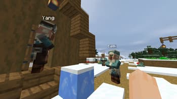 Villager Names screenshot