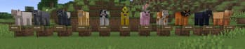 Pets: Earth screenshot