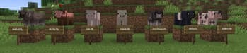 Pets: Earth screenshot