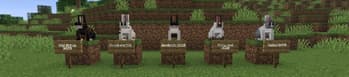 Pets: Earth screenshot