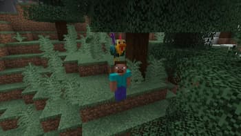 Pets: Earth screenshot