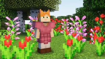 CosmeticArmours screenshot
