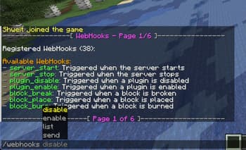 Minecraft Server API screenshot