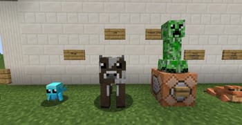 RFpack screenshot