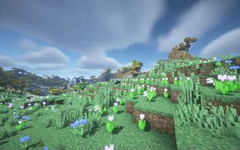 香草精华 Vanilla Essence screenshot