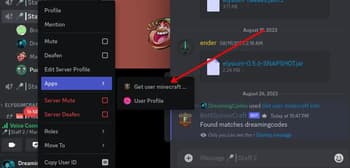 DiscordLoom screenshot