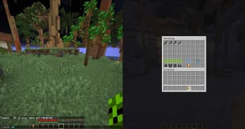 Tweaks screenshot