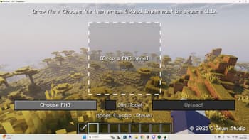 CatSkinC screenshot
