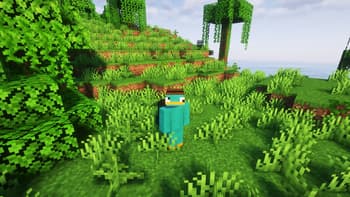EnderPack screenshot