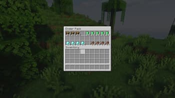 EnderPack screenshot