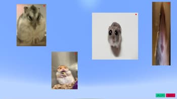 Image Overlay screenshot