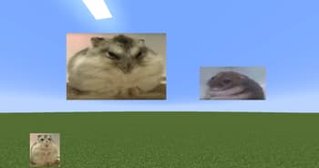 Image Overlay screenshot