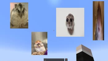 Image Overlay screenshot