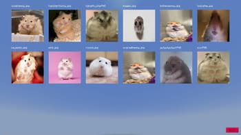 Image Overlay screenshot