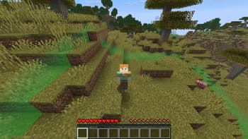 Better Chunk Borders screenshot