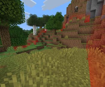 Better Chunk Borders screenshot
