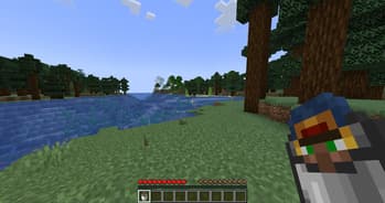 Villager In A Bucket screenshot