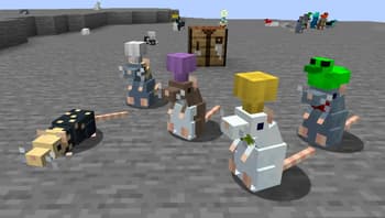 Practical Pets screenshot