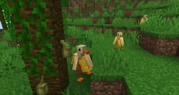 Practical Pets screenshot