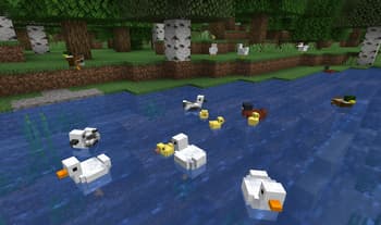 Practical Pets screenshot