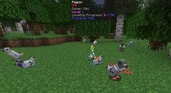 Practical Pets screenshot