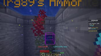 Firmament for Hypixel SkyBlock screenshot