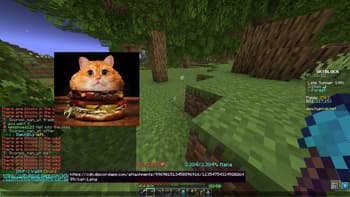 Firmament for Hypixel SkyBlock screenshot