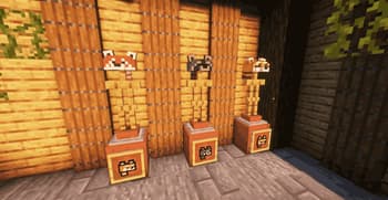 Animals Hats screenshot