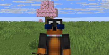 MisterVloop Sunglasses screenshot