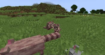 Tameable Beasts screenshot