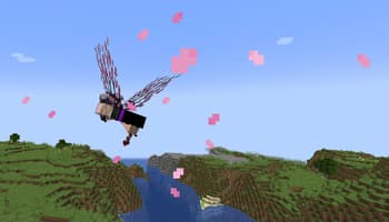 Elegant Elytras screenshot