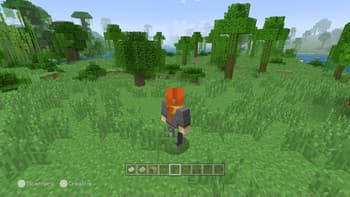 Legacy Skin Packs screenshot
