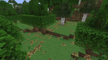 Bushy pink petals, wildflowers & leaf litter screenshot