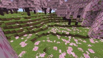 Bushy pink petals, wildflowers & leaf litter screenshot
