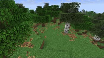 Bushy pink petals, wildflowers & leaf litter screenshot