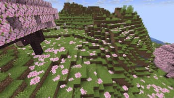 Bushy pink petals, wildflowers & leaf litter screenshot