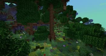 Improved/More Biomes screenshot